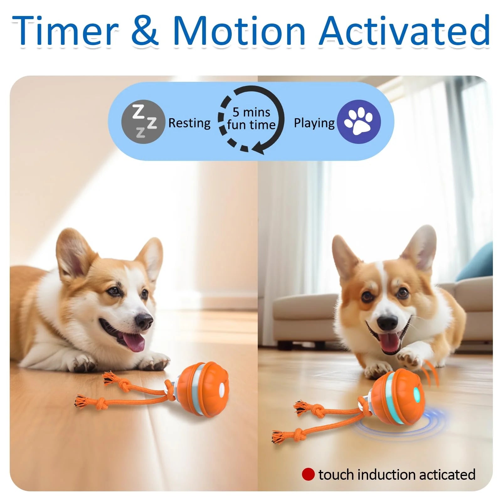 Interactive Motion-Activated Dog Ball Toy - Rechargeable Automatic Rolling Toy for Small Dogs and Puppies